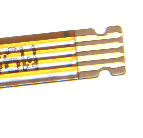 g0070-3